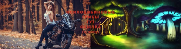 хмурый Абаза