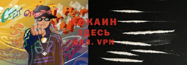 хмурый Абаза