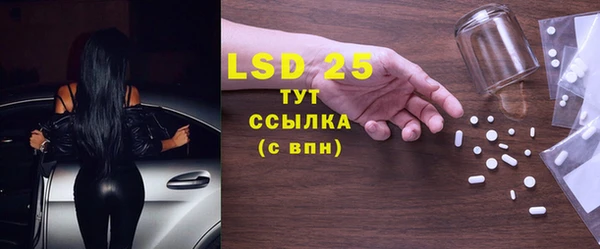 хмурый Абаза
