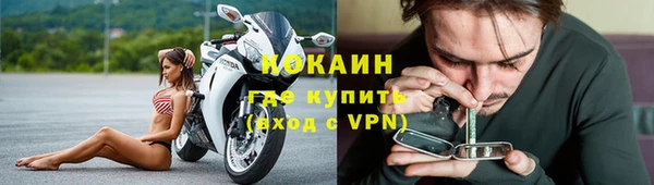 хмурый Абаза