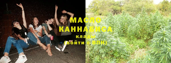 хмурый Абаза