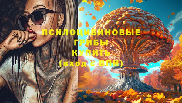 хмурый Абаза