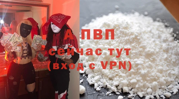 хмурый Абаза