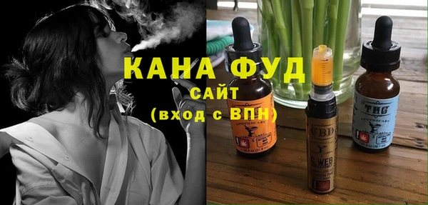 хмурый Абаза