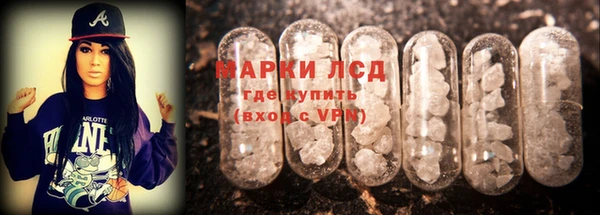 хмурый Абаза